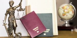 Descubre las Ramas del Derecho Administrativo: Guía Completa