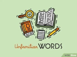 Descubre los mejores sinónimos de abonar para enriquecer tu vocabulario