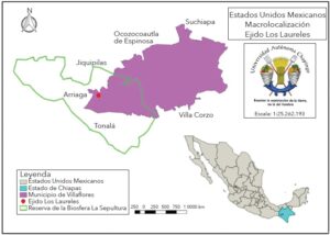 Entiende el concepto de ejido y su importancia en la historia de México